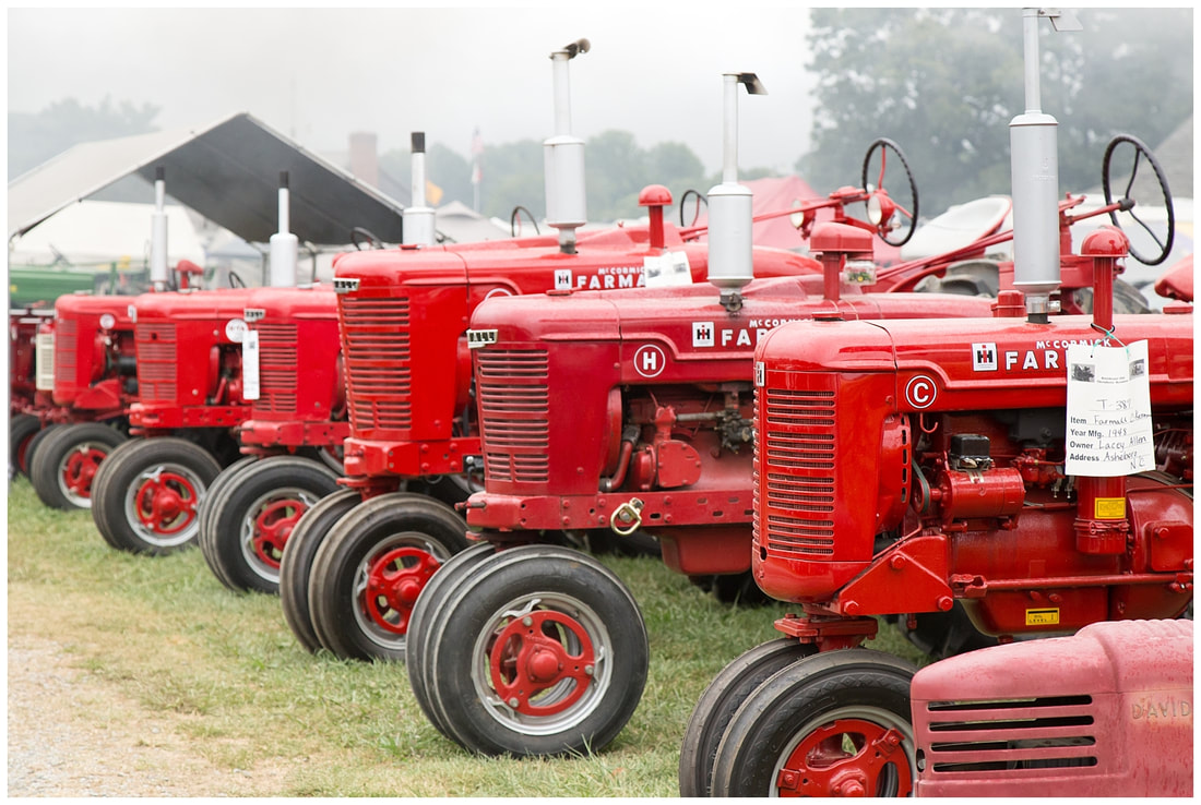Row of Farmall tractors at the 2015 Southeast Old Thresher's Reunion in Denton, NC | Photographed by Nicole Watford Photography