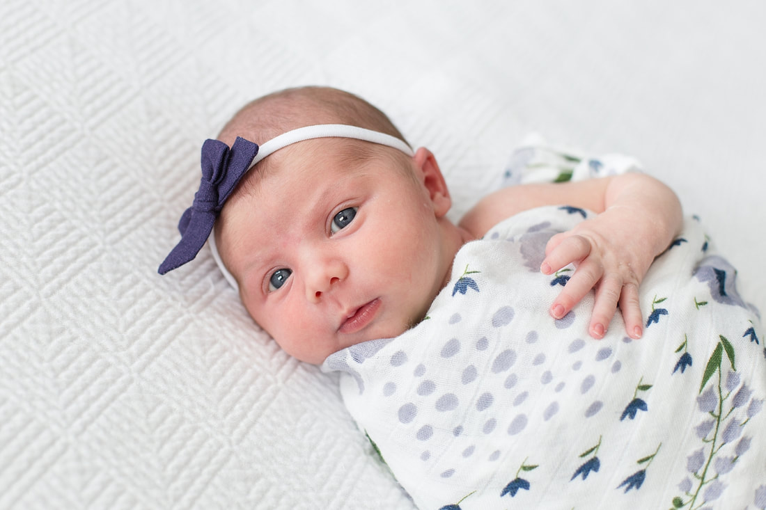 Soft Blue and Navy Newborn Lifestyle Session | Columbia, SC Newborn Photographer