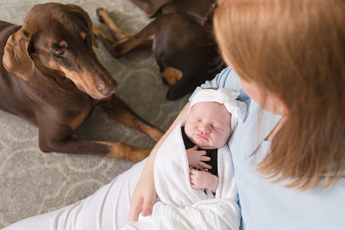 mom holds baby with dogs next to her during lifestyle newborn session